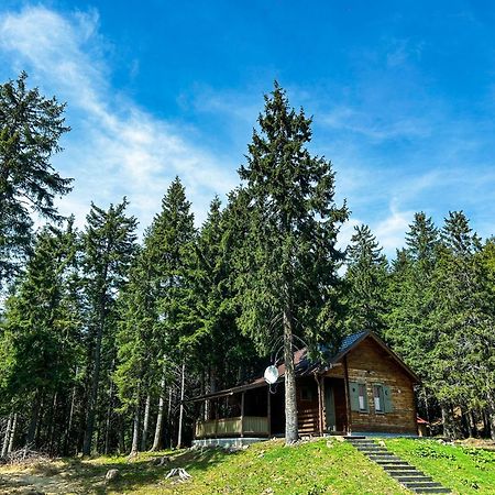 إذفوار Natura Haziko المظهر الخارجي الصورة